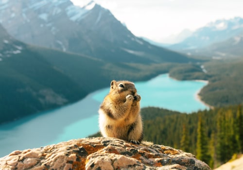 The Essential Role of Canadian Wildlife